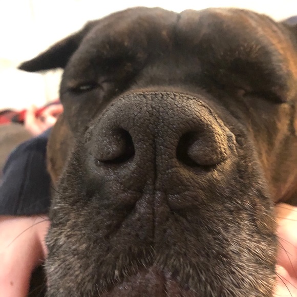 WELCOME TO MY CLOSET❤️THANK YOU FOR STOPPING BY - Picture 8 of 11